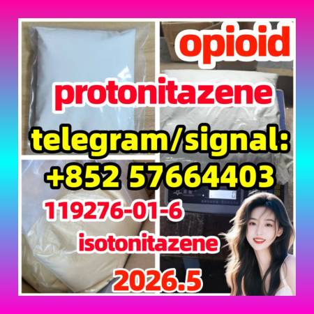 Protonitazene (hydrochloride) (Pronitazene, CAS Number: 119276-01-6) 现货