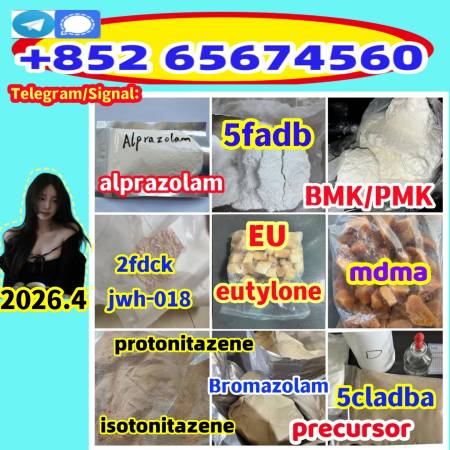 Telegram/Signal：+852 65674560  