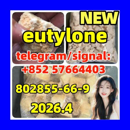 Wholesale eu cas 802855-66-9 Eutylone white crystal