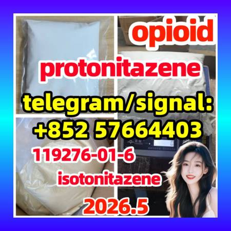 CAS: 119276-01-6 Protonitazene (hydrochloride)  opioid 
