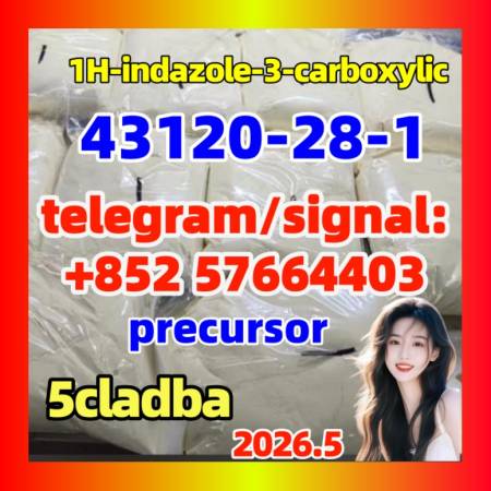 Factory 99% 1h-Indazole-3-Carboxylic Acid Methyl Ester Powder CAS 43120-28-1