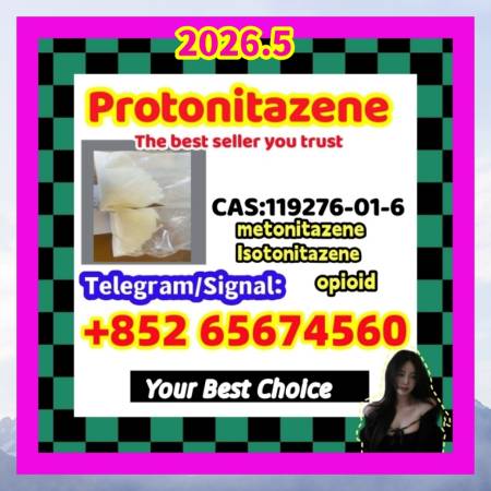    Protonitazene (hydrochloride) gfhgrthry