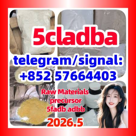 Raw Materials precursor 5cladba With Lowest Price And Fast Delivery |