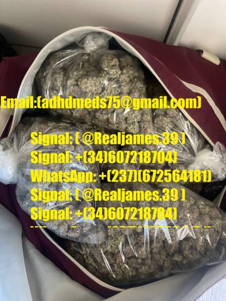 Buy 5 cabp Powder Online, (adhdmeds75@gmail.com) Buy 5C-AKB48 Online, 5F-MDMB-2201 Powder for Sale @ Cheap Price, Buy BMDP Online, EBK for Sale (morga