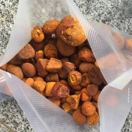 Wholesale supplier of high quality cow/ox gallstones. WhatsApp: +237-682890280