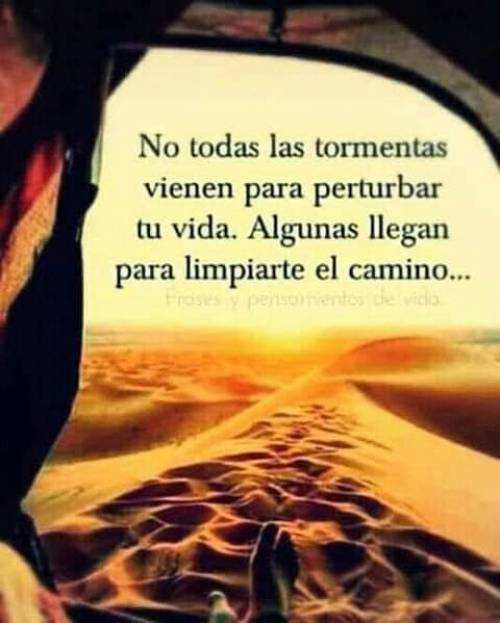 TarotConfianza
