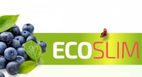 EcoSlimADM