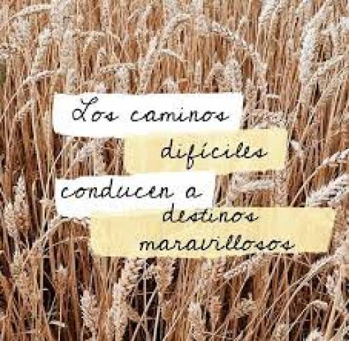 NoTePudeRetener
